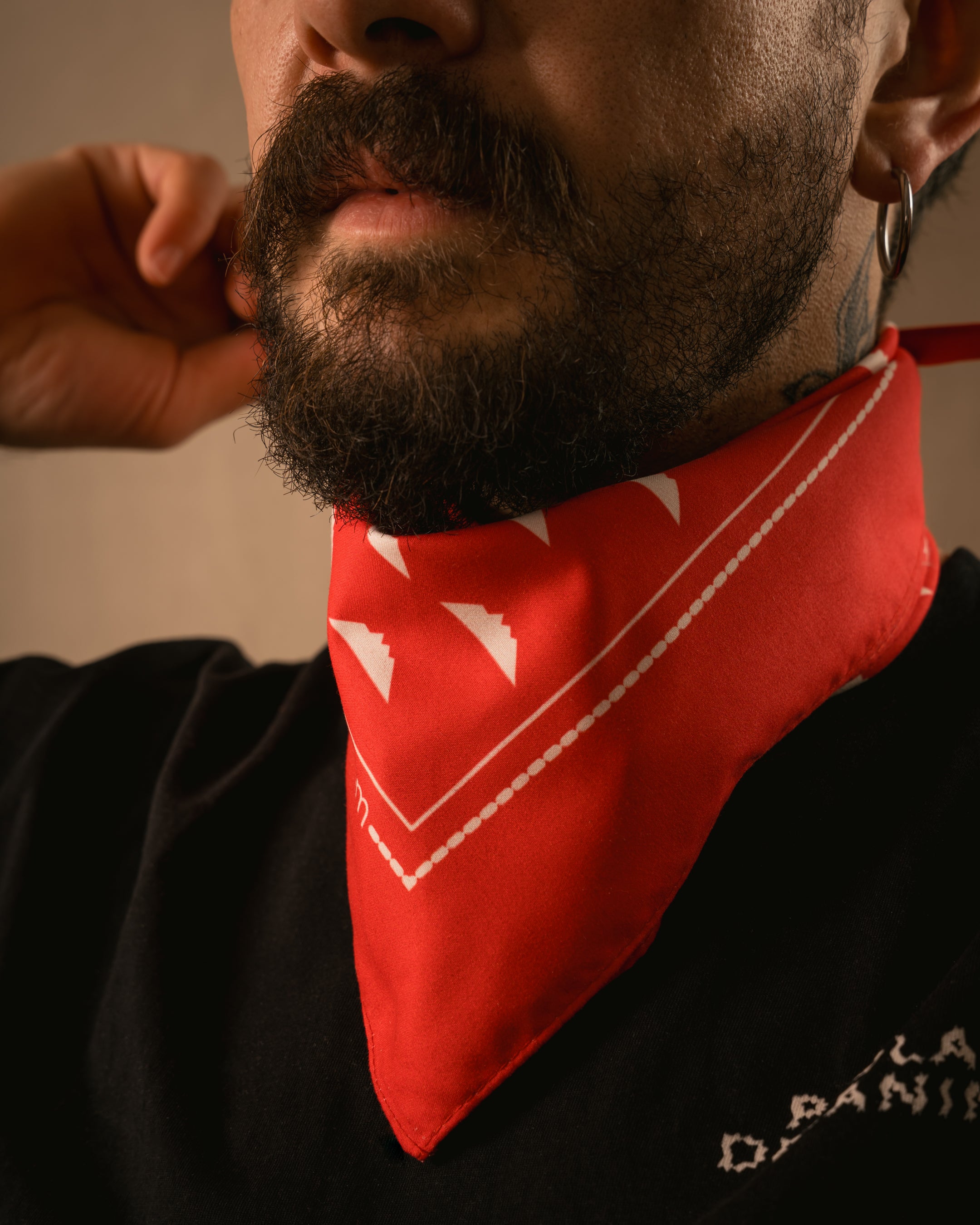 Mascada Roja por Paola Decanini